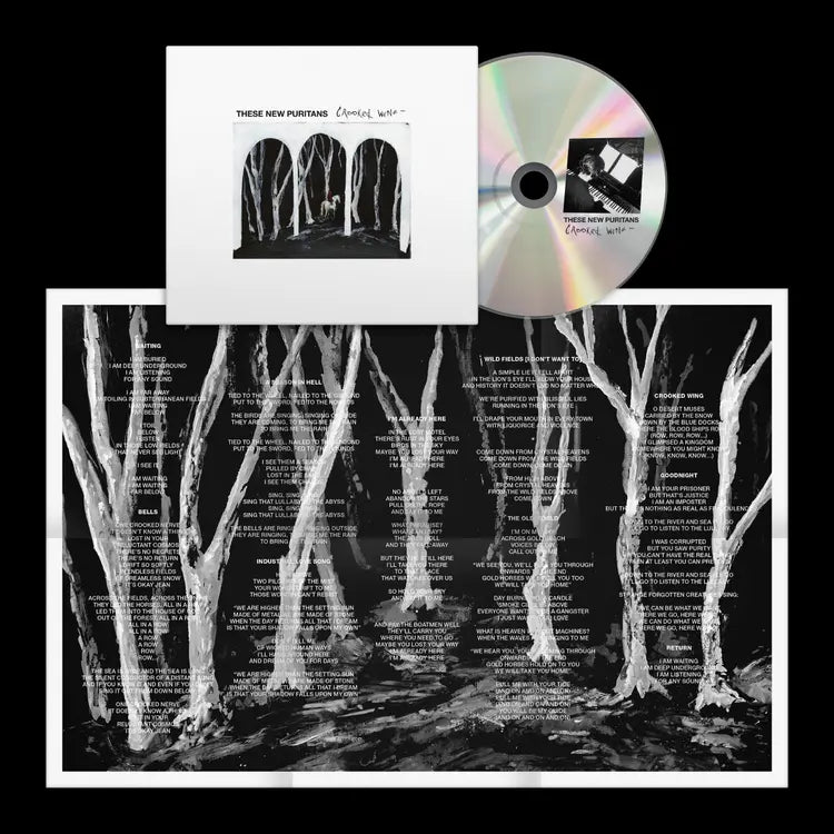 These New Puritans - Crooked Wing (Preorder 23/05/25)