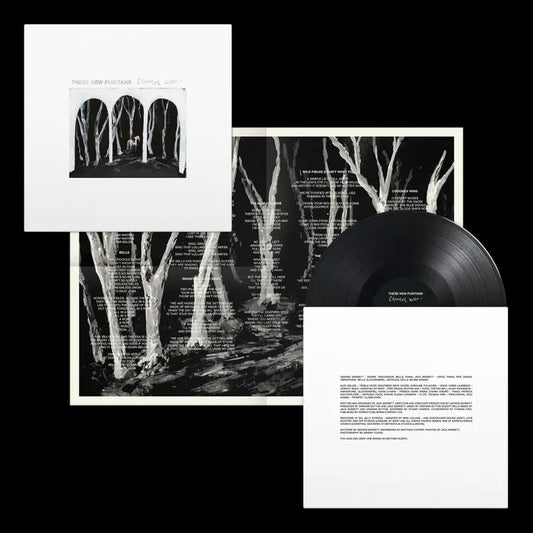 These New Puritans - Crooked Wing (Preorder 23/05/25)