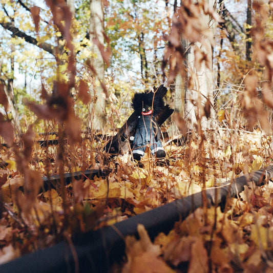 Billy Woods - GOLLIWOG (Preorder 09/05/25)