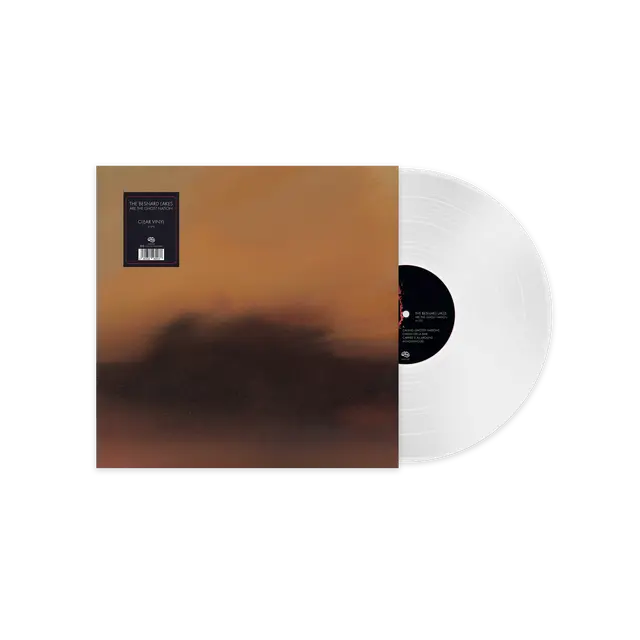 The Besnard Lakes - The Besnard Lakes are the Ghost Nation (Preorder 10/10/25)