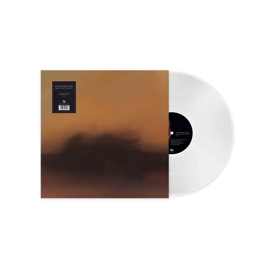 The Besnard Lakes - The Besnard Lakes are the Ghost Nation (Preorder 10/10/25)