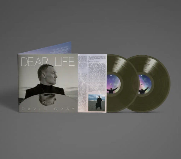 David Gray - Dear Life (Preorder 17/01/25)