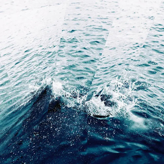 Dorian Dumont - to The APhEX