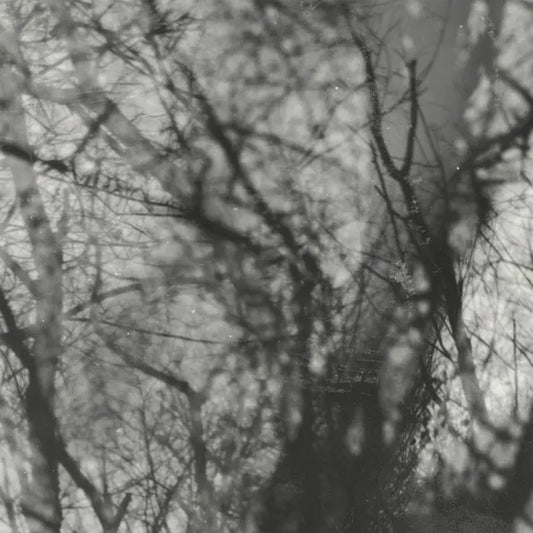 Grouper - Way Their Crept (Preorder 21/11/25)