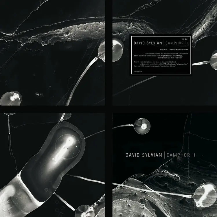 David Sylvian- Camphor II - RSD 2025