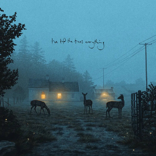 Dermot Kennedy - I’ve told the trees everything (Preorder 14/06/24)