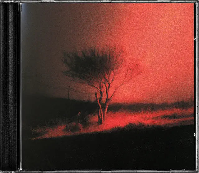 Joji - Piss In The Wind (Preorder 06/02/26)