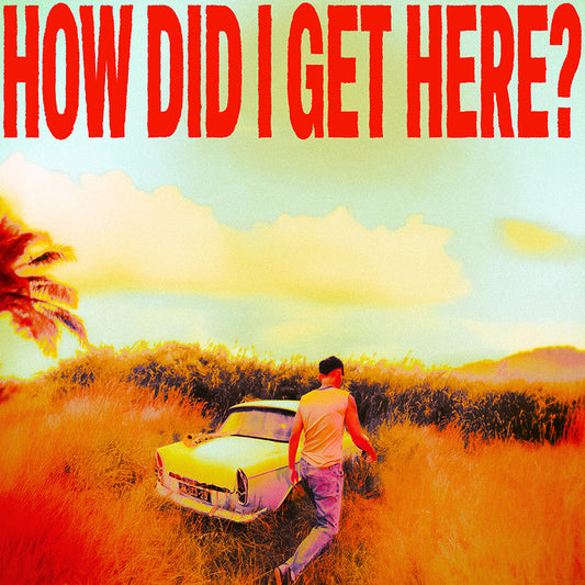 Louis Tomlinson - How Did I Get Here? (Preorder 23/01/25)