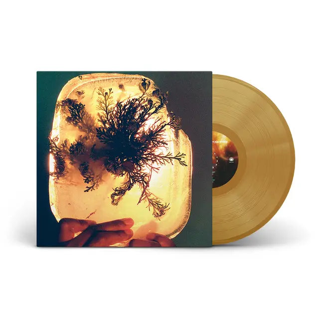 L'Rain - fata morgana (Preorder 14/08/26)