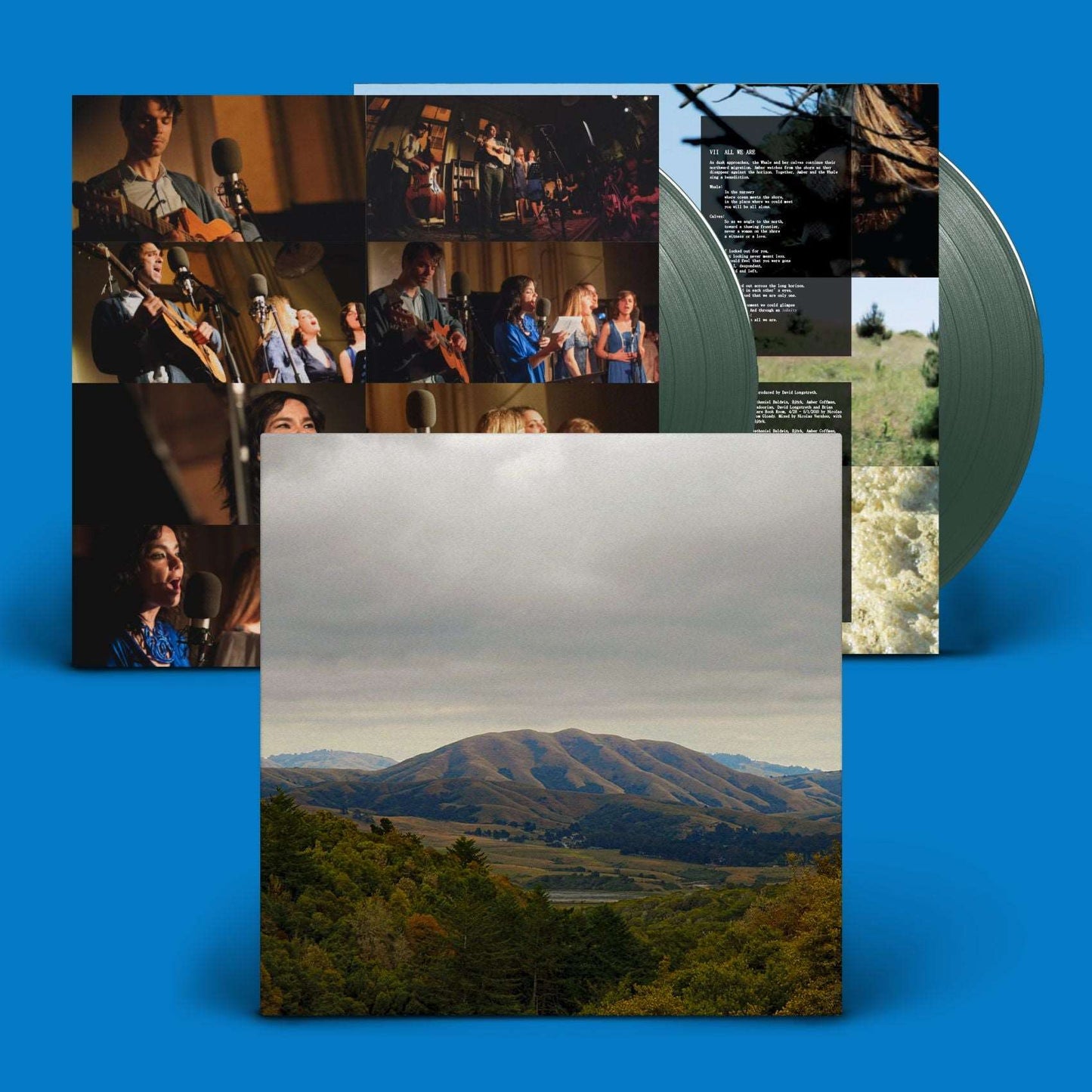 Dirty Projectors & Björk - Mount Wittenberg Orca - The Vault Collective ltd