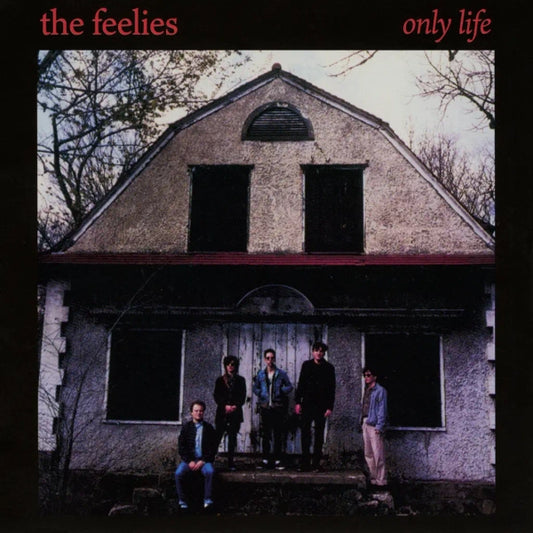 The Feelies - Only Life (Preorder 28/03/25)