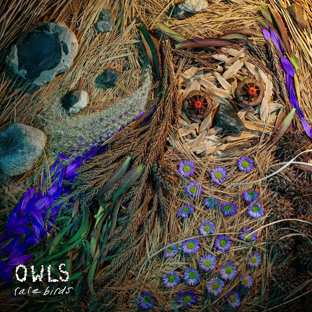 Owls - Rare Birds (Preorder 07/11/25)
