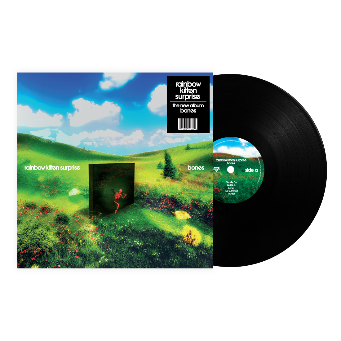 Rainbow Kitten Surprise - Bones (Preorder 26/09/25)