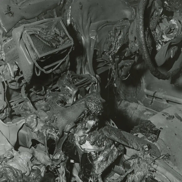 Whispering Sons - The Great Calm (Preorder 23/02/24)