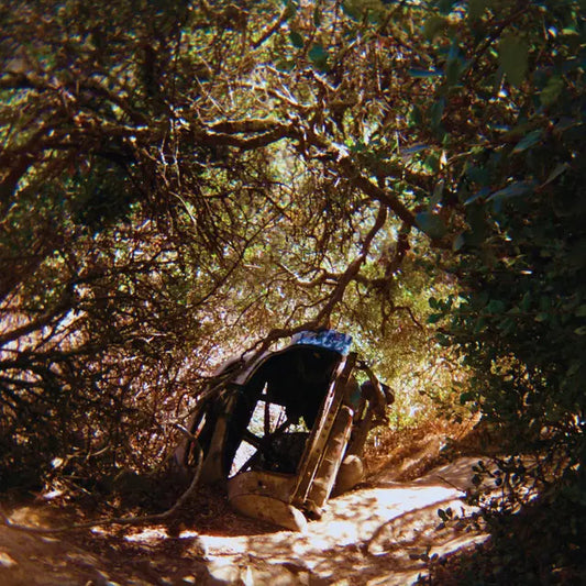 Ty Segall - Possession (Preorder 30/05/25)