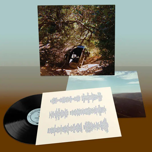 Ty Segall - Possession (Preorder 30/05/25)