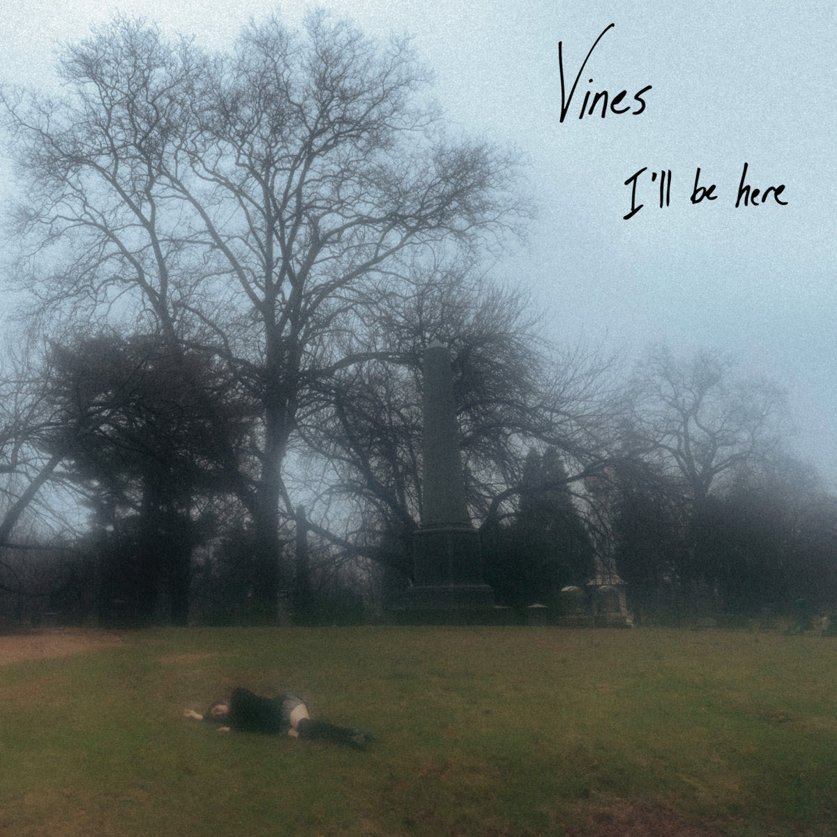 Vines - I’ll Be Here (Preorder 01/08/25)