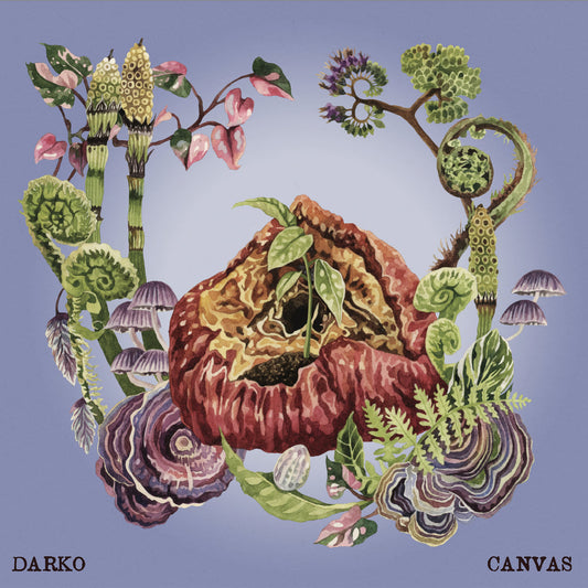 Darko - Canvas (Preorder 08/08/25)