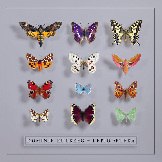Dominik Eulberg - Lepidoptera (Preorder 07/11/25)