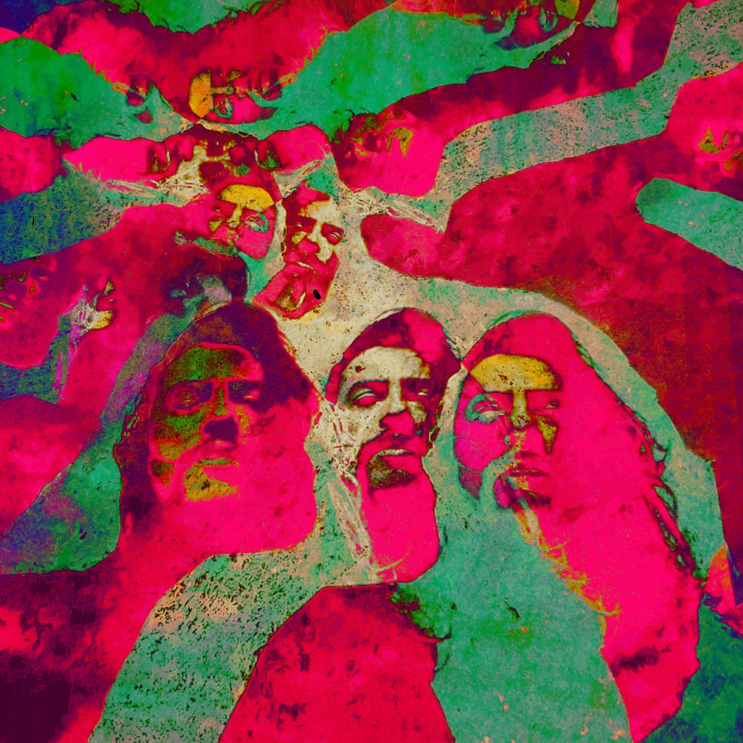 Dimorphodons - Waui (Preorder 25/04/25)