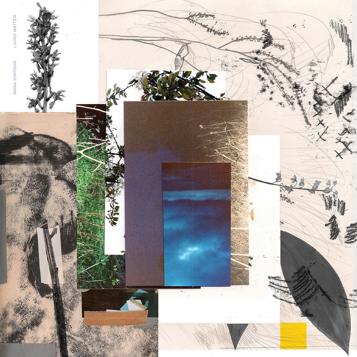 Mara Simpson - Living Matter (Preorder 30/05/25)