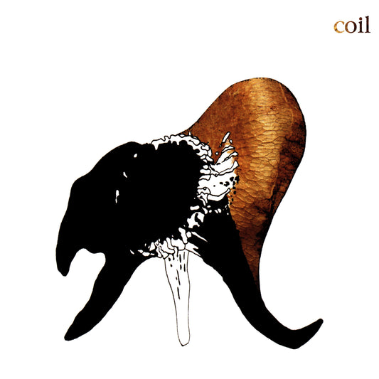 Coil - Black Antlers (Preorder 27/06/25)