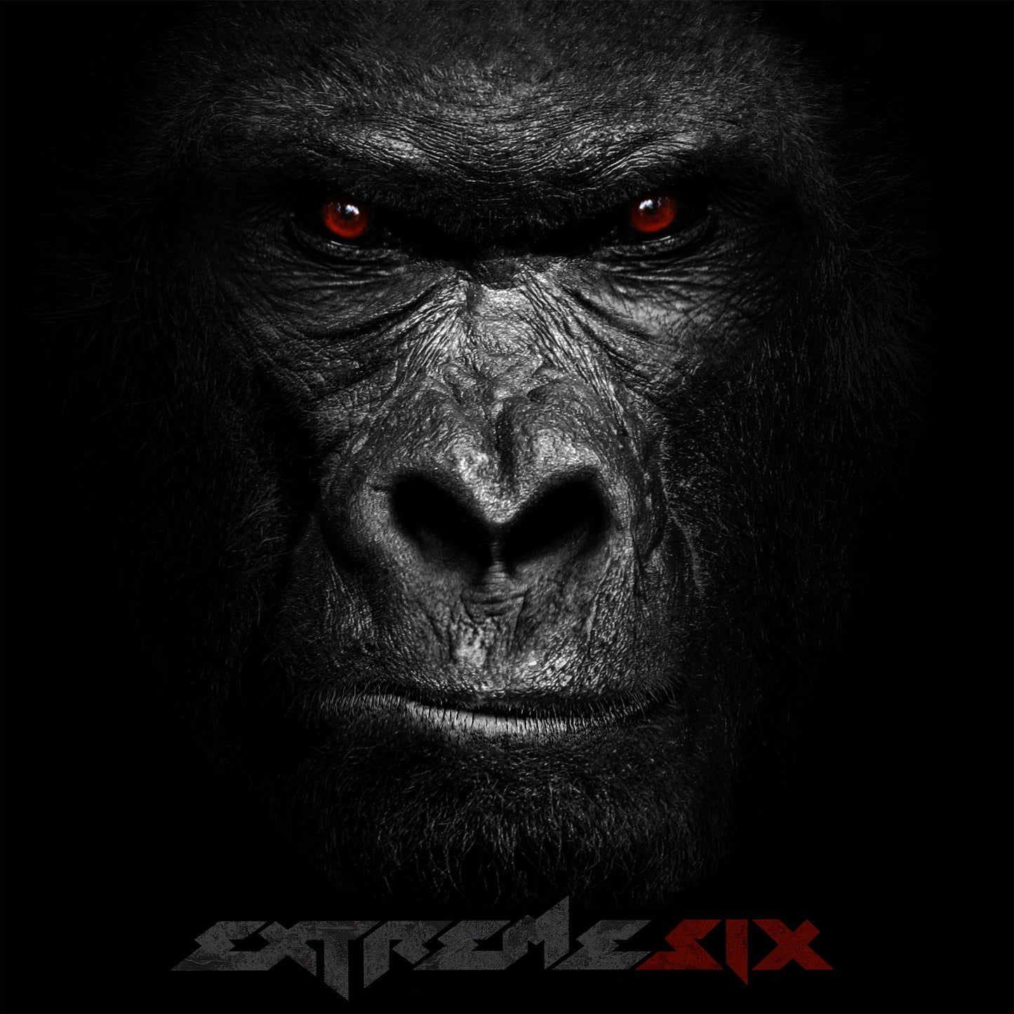 EXTREME - SIX - The Vault Collective ltd