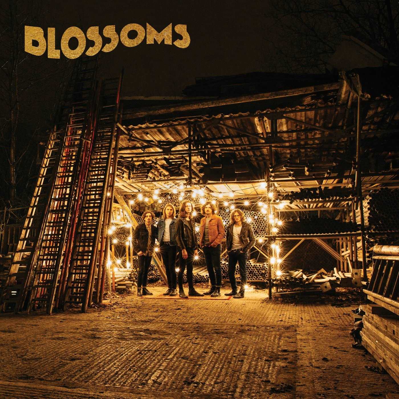 Blossoms - Blossoms – Limited Edition - The Vault Collective ltd
