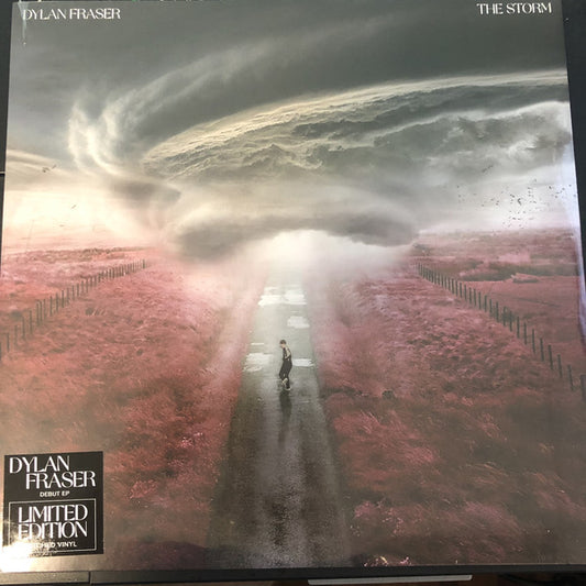 Dylan Fraser - The Storm - The Vault Collective ltd