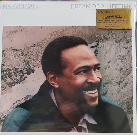 Marvin Gaye - Dream Of A Lifetime - The Vault Collective ltd