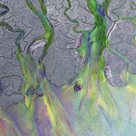 Alt J - An Awesome Wave ( Fern Green Limited Edition ) - The Vault Collective ltd
