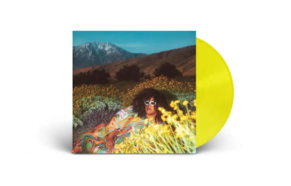 Brittany Howard - WHAT NOW (Preorder 09/02/24)