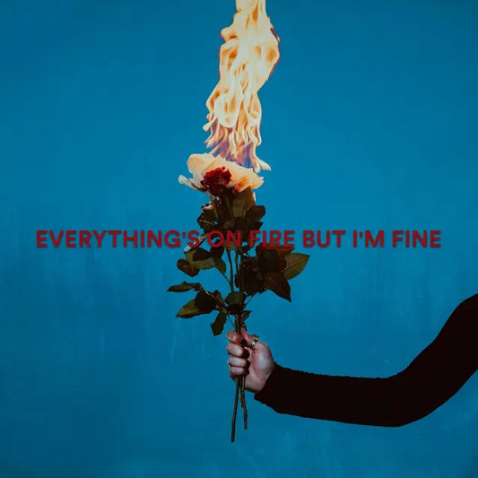 As December Falls - Everything's On Fire But I'm Fine (Preorder 08/08/25)