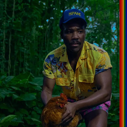 Childish Gambino - Bando Stone and the New World (Preorder 25/04/25)