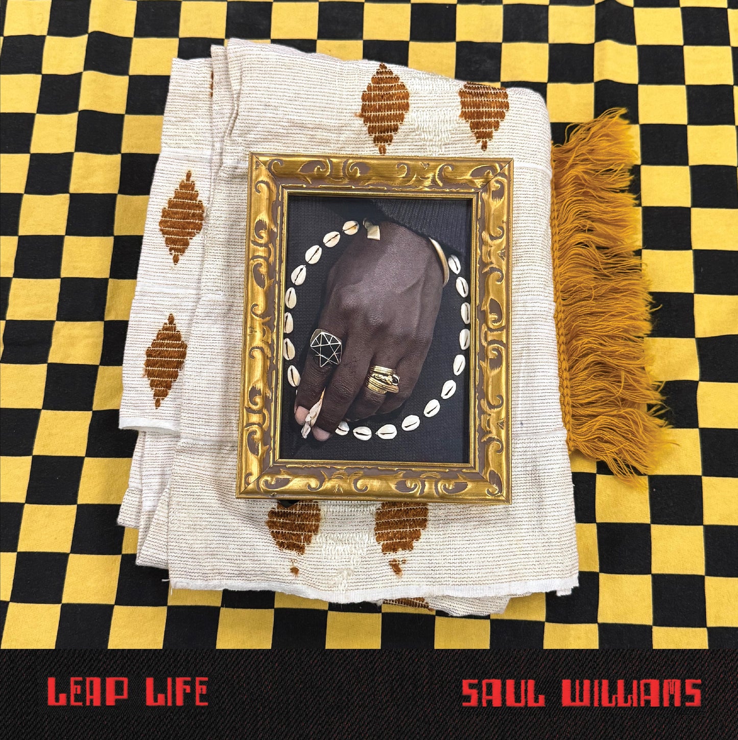 Saul Williams - Leap Life (Preorder 28/08/26)