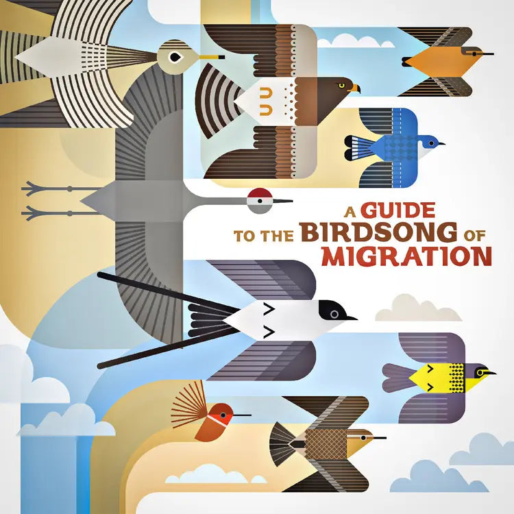 Various Artists - A Guide to the Birdsong of Migration (Preorder 09/01/26)