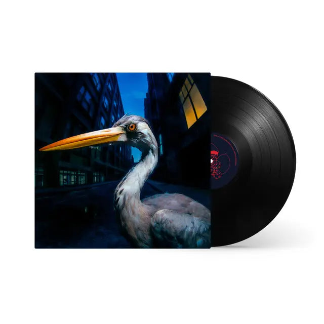 Antony Szmierek - Decoding Birdsong (Preorder 21/08/26)