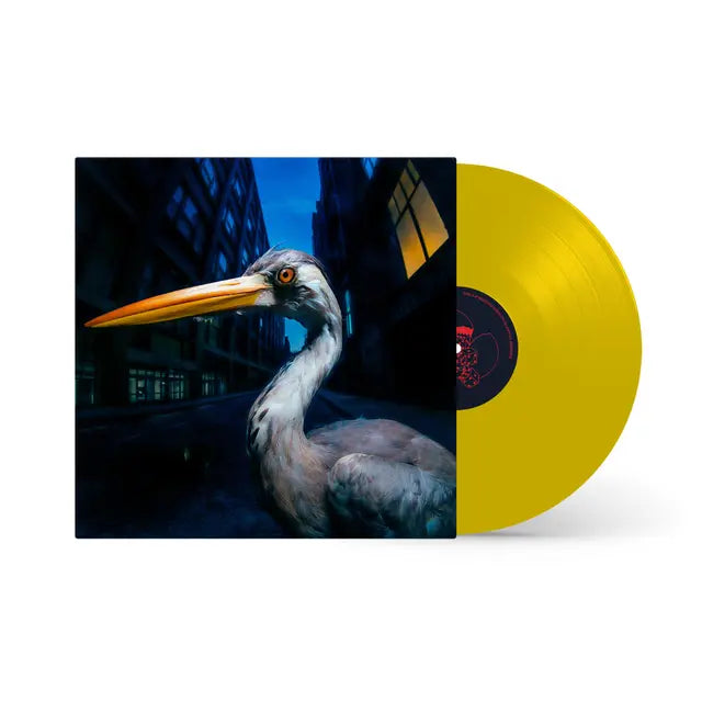 Antony Szmierek - Decoding Birdsong (Preorder 21/08/26)