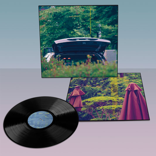 Eiko Ishibashi & Jim O'Rourke - Pareidolia (Preorder 29/08/25)
