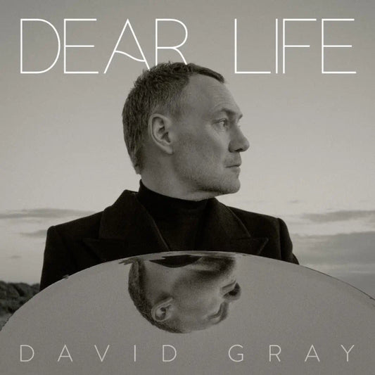 David Gray - Dear Life (Preorder 17/01/25)