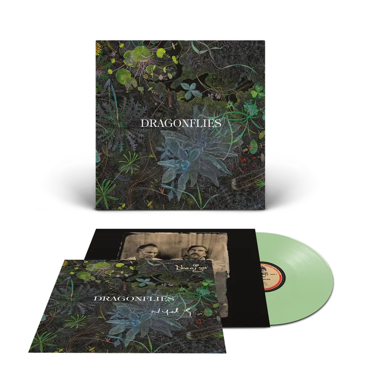 Dragonflies - Dragonflies