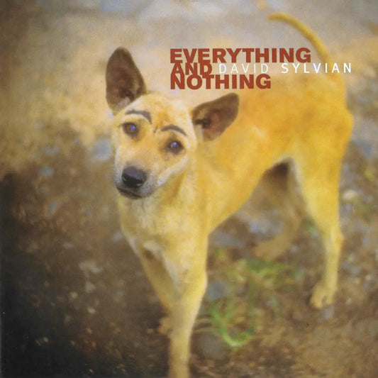 David Sylvian - Everything And Nothing (Preorder 04/10/24)