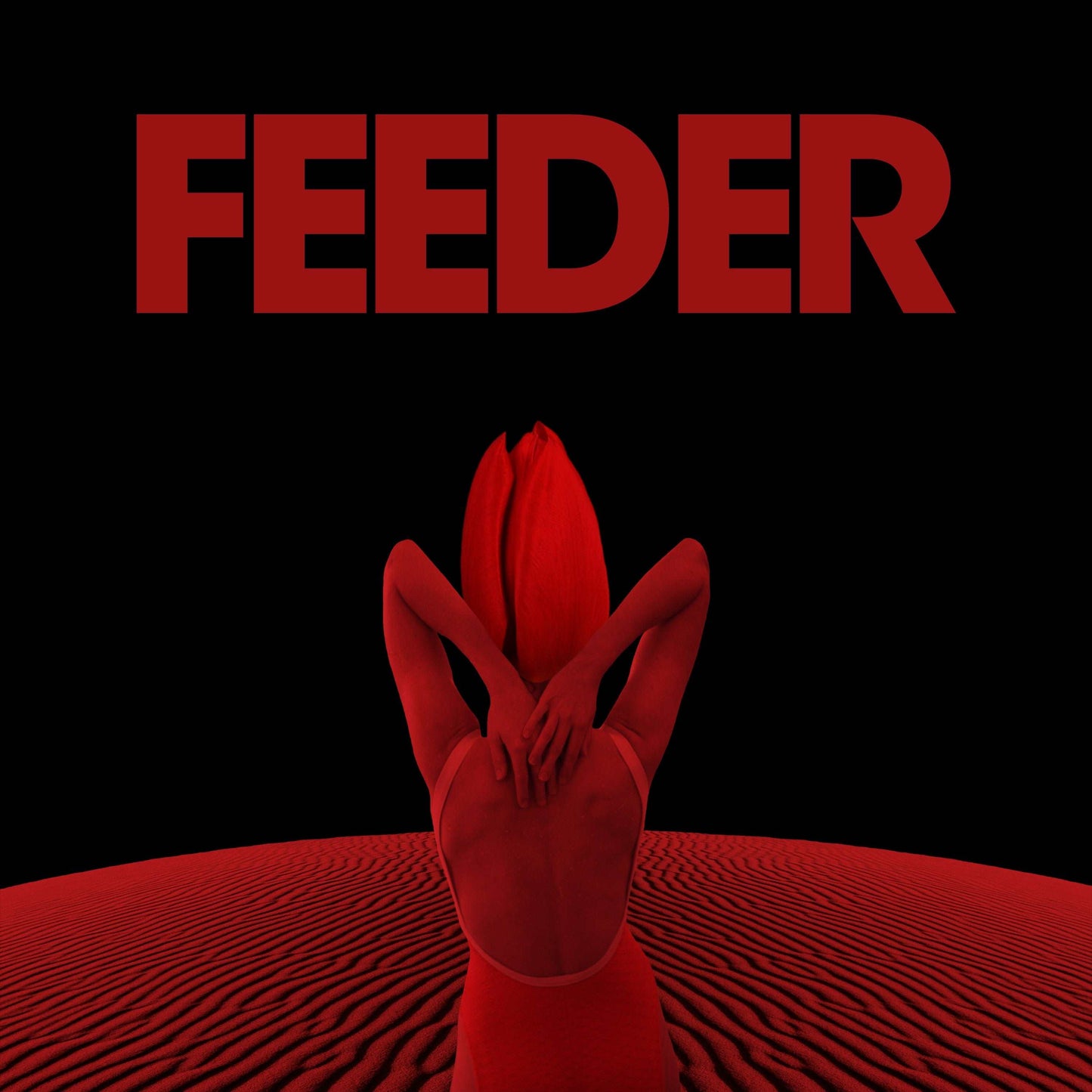 Feeder - Black / Red (Preorder 05/04/24)