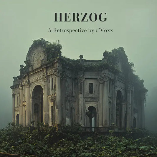 D'Voxx - HERTZOG - A Retrospective (Preorder 20/02/26)