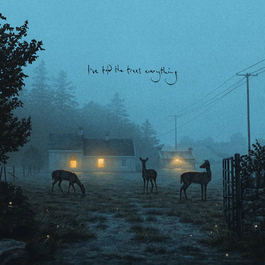 Dermot Kennedy - I’ve told the trees everything (Preorder 14/06/24)