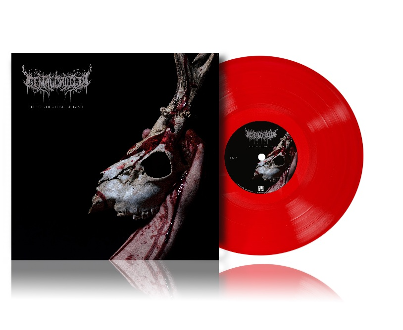 Mental Cruelty - Echoes of a Forlorn Land