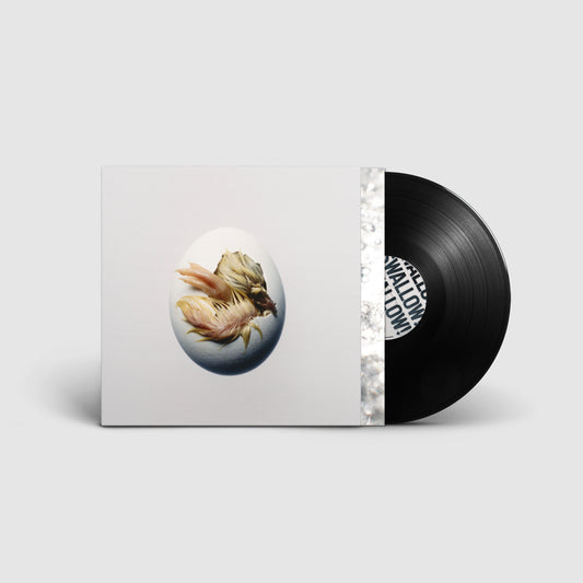 Shygirl - SWALLOW