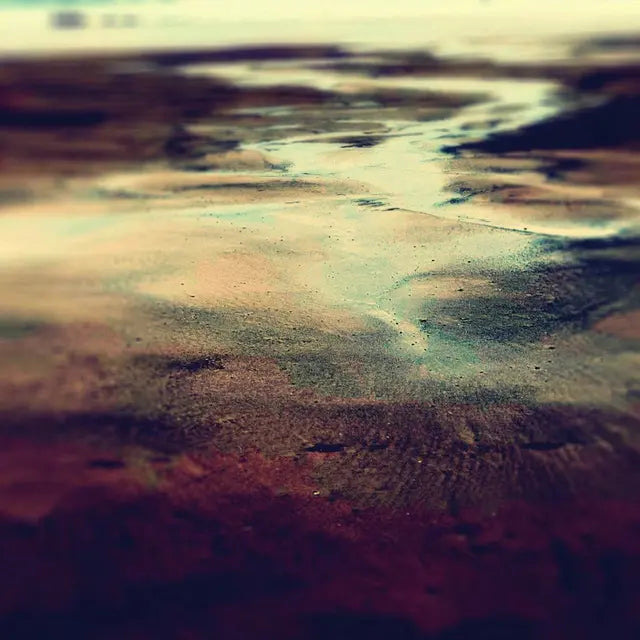 Loula Yorke - HYDROLOGY (Preorder 21/11/25)