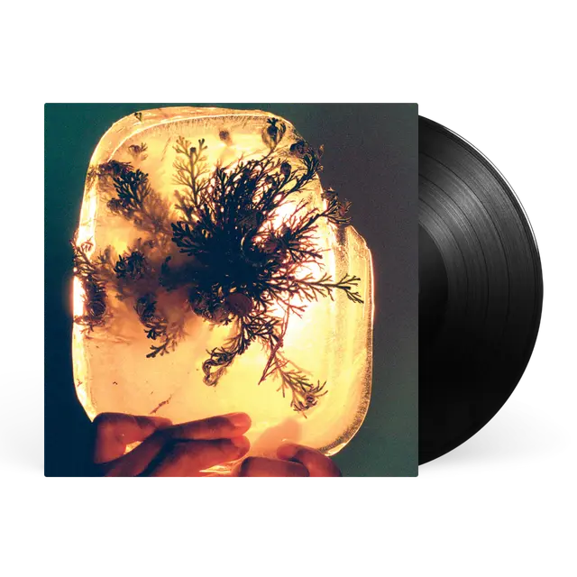 L'Rain - fata morgana (Preorder 14/08/26)