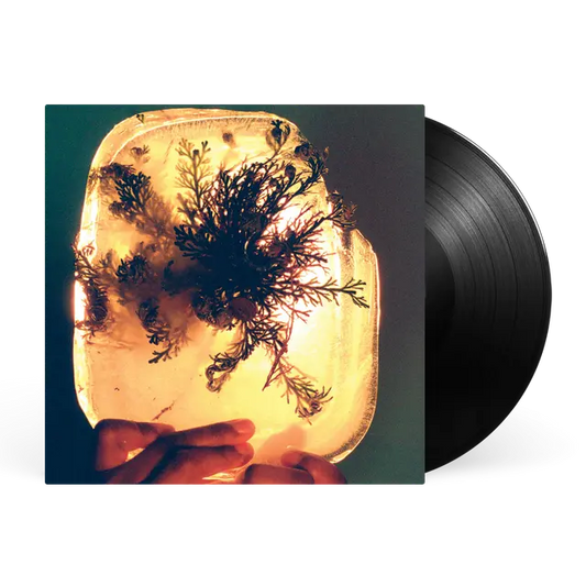 L'Rain - fata morgana (Preorder 14/08/26)
